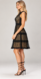 Black Lace Embellished Sheer Tulle Midi Dress