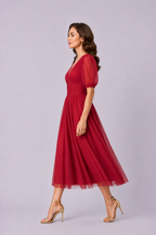 Pleat Waist Sheer Mesh Midi Dress