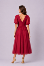Pleat Waist Sheer Mesh Midi Dress