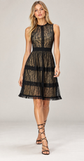 Black Lace Embellished Sheer Tulle Midi Dress