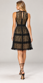 Black Lace Embellished Sheer Tulle Midi Dress