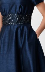 Sequin Embroidery Dupioni Dress
