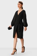 Sheer Chiffon Wrap Dress