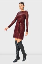 Sash Tie Sequin Mesh Sheath Dress | Long-Sleeve Sparkle Party Dress