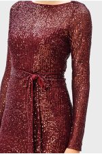 Sash Tie Sequin Mesh Sheath Dress | Long-Sleeve Sparkle Party Dress